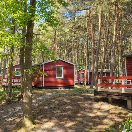 Erholung Pur In Der Strandhussiedlung Ruegen - - Bis 5 Personen - Nur 100m Zum Naturstrand - Mitten Im Kiefernwald - Ideal Fuer Paare & Familien - Hunde Herzlich Willkommen * Dranske
